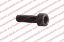 0000-000386-00 Screw