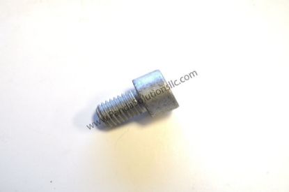 Picture of Blue Giant BG0000-000030-00 SCREW 