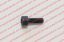 Picture of Blue Giant BG0000-000055-00 SCREW 